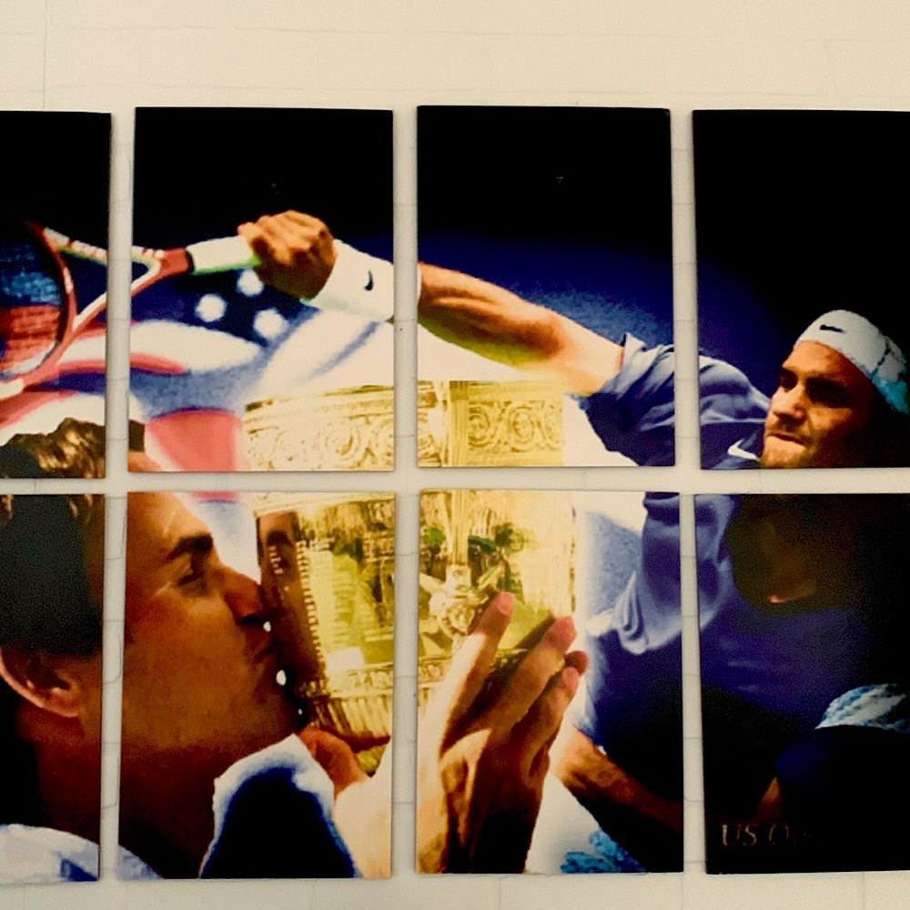 Roger Federer décorative art.
